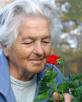 Laurelhurst Village's Mission and Values